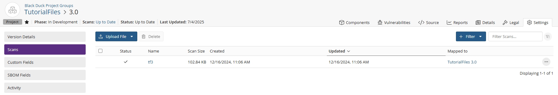 Project Version Scans tab